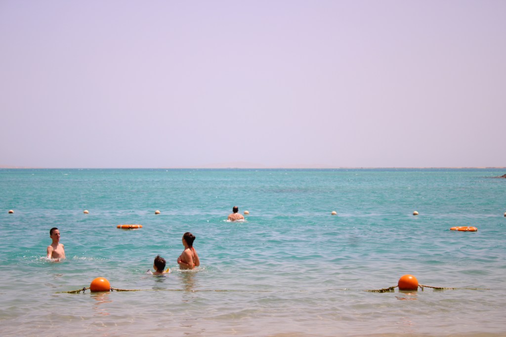 REVUE D’ÉGYPTE ● PARTIE IV